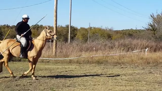 The USTPF Tent Pegging Training in Nov 2017